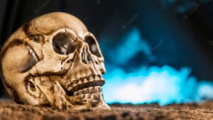 Spooky human skull with smoke