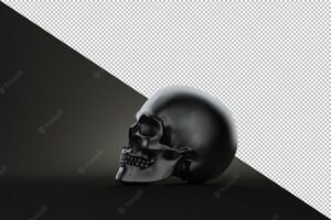 Still life human skull on black background