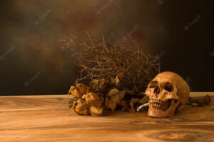 Still life with human skull