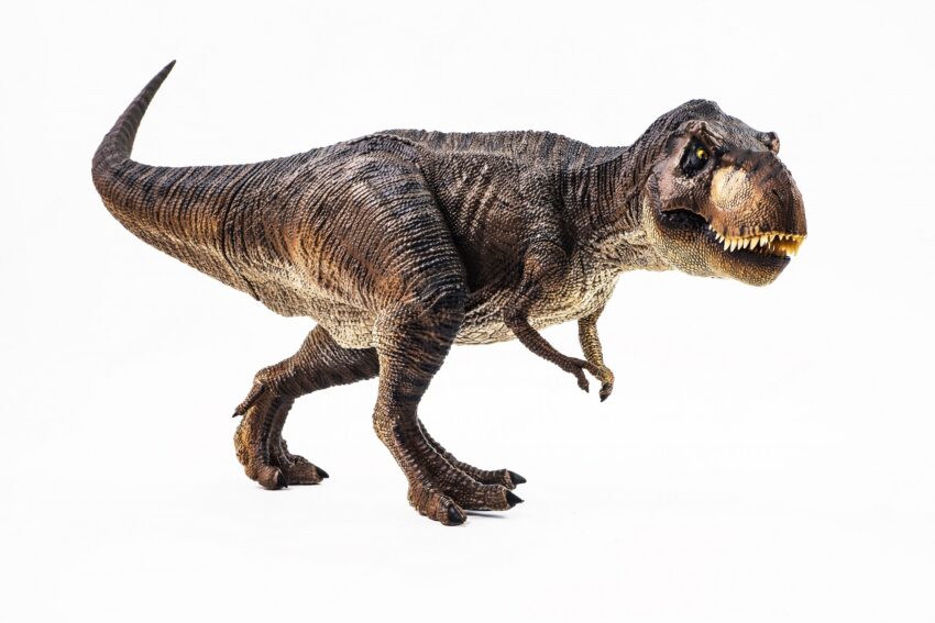 Tyrannosaurus t-rex, dinosaur on white background