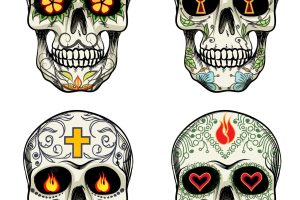 Vector skulls with flowers for day of the dead