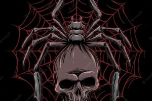 Vector of spider with skull illustration