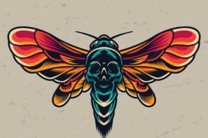 Vintage colorful flying death head moth