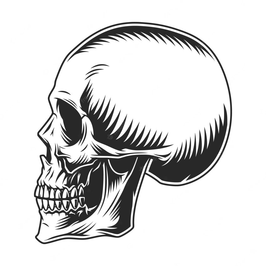 Vintage human skull profile template