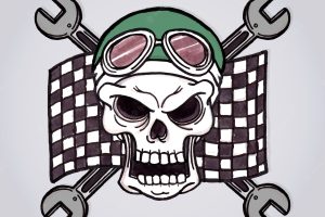 Wild skull background with racing flag