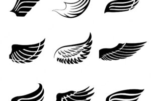 Abstract feather wings icons set