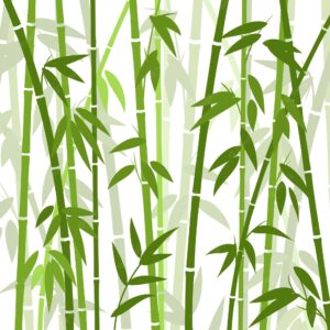 Chinese or japanese bamboo grass oriental wallpaper. tropical asian plant background