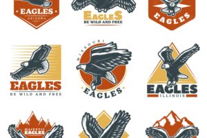 Colored vintage beautiful eagles labels set