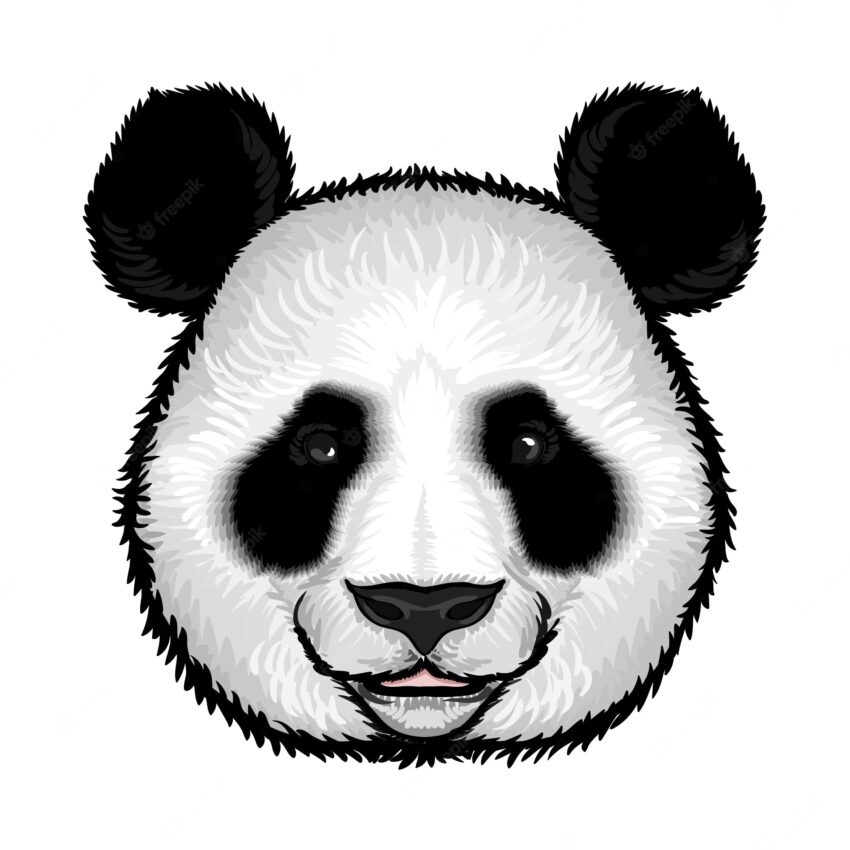 Cute fluffy panda face