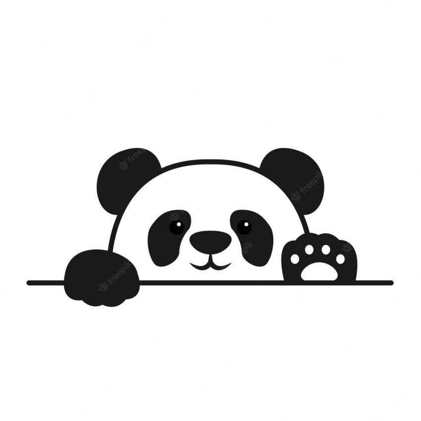 Cute panda paws up over wall, panda face cartoon icon