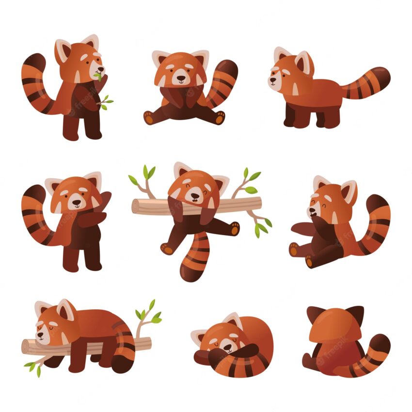 Cute red panda cartoon set