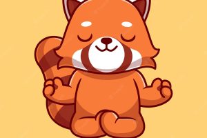 Cute red panda doing yoga cartoon vector icon illustration. animal sport icon concept isolated premium vector. flat cartoon style
