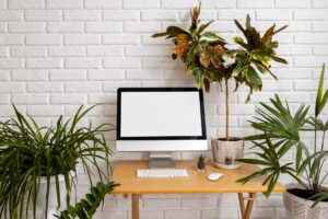 Desk arrangement and green plants