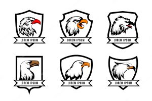 Eagle or american falcon heads with shields badge templates. set of logotype with shield and eagle