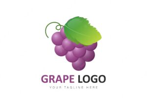Grape logo gradient design illustration
