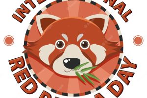 International red panda day