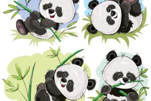 Playful panda bear baby with bamboo cartoon vector