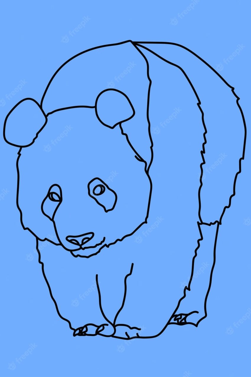 Sketch panda line art