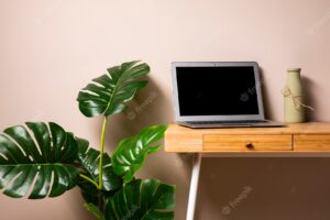 Wooden desk with laptop and plant