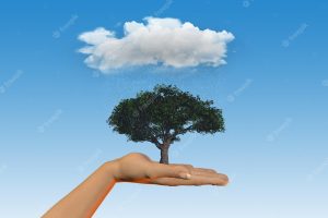 3d render of a female hand holding a tree under a rainy cloud