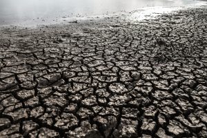 Arid land with dry and cracked ground, global warming