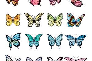 Big watercolor set of colorful butterfly. perfect for prints, stickers and posters. vector illustrat