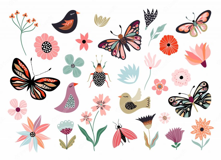 Butterflies, flowers and birds hand drawn collection of different element, isolated on white