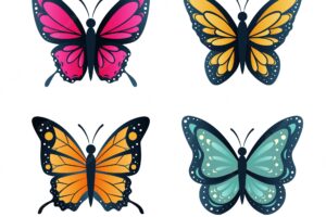 Butterfly collection