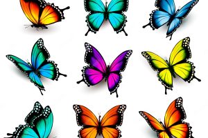 Collection of colorful butterflies, flying in different directions. vector.
