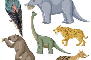 Collection of extinct animals