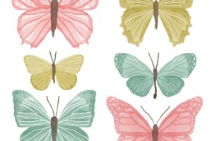 Cute watercolor butterflies collection