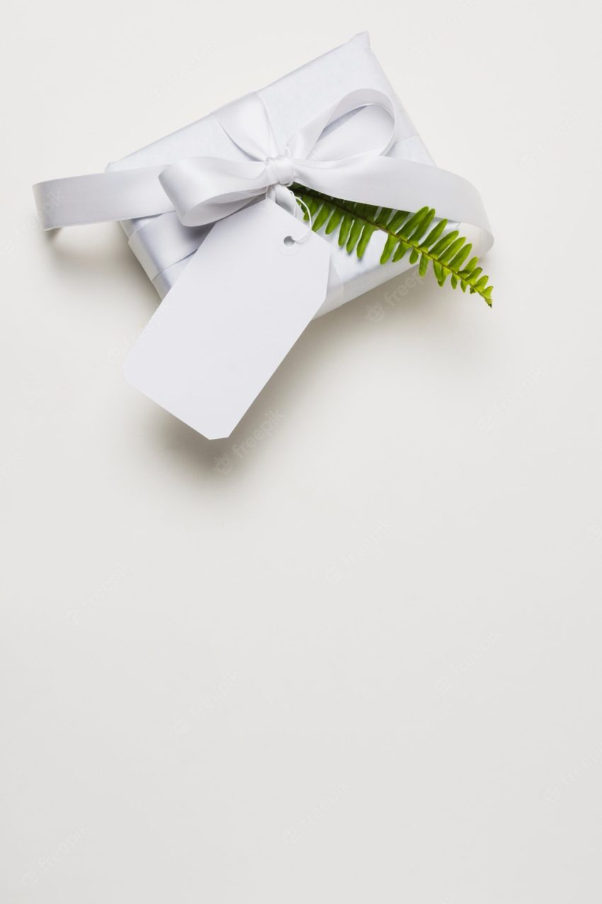 Decorated present over white backdrop with empty space