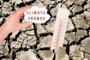 Dry earth with a thermometer, global warming and climate change concept, environmental discussion