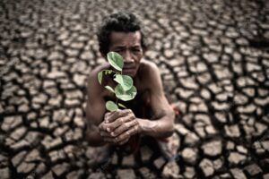 An elderly man sitting with dry soil and cracked in a hand held seedling, global warming