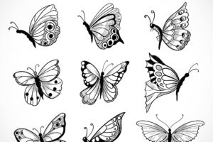 Hand draw collection of pretty butterflies design