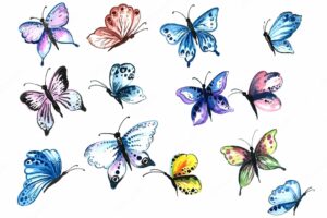 Hand draw collection of pretty colorful butterflies watercolor design