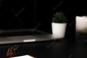High angle of desktop with succulents and notebook