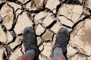High angle shot of a person standing on the dried and cracked muddy ground