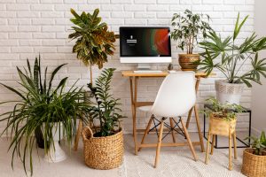 Interior design with many plants