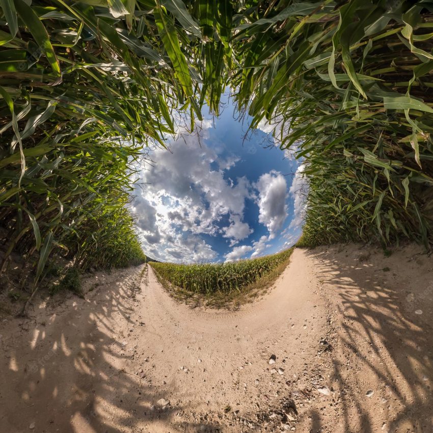 Inversion of blue tiny planet transformation of spherical panorama 360 degrees spherical abstract aerial view on corn field with awesome beautiful clouds curvature of space