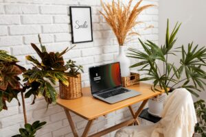 Laptop on table with plants