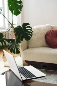 Living room interior design there is a laptop on a glass table next to a light sofa and a monstera