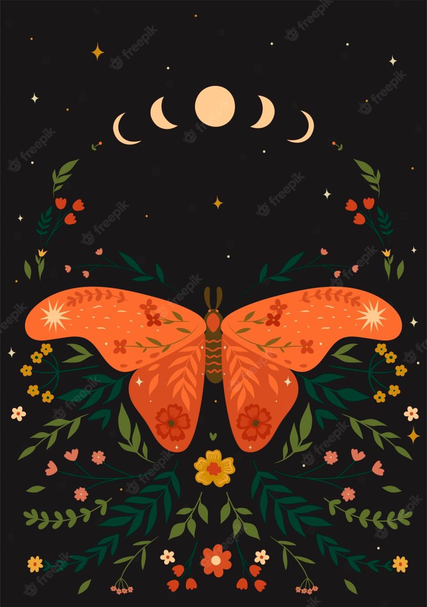 Postcard with a moth in boho style. vector graphics.