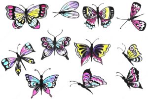 Printhand draw collection of pretty colorful butterflies watercolor design