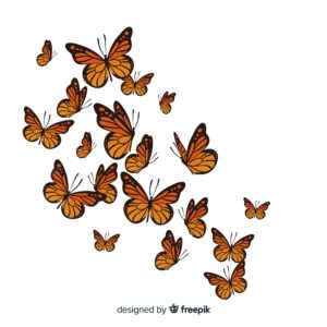 Realistic butterflies group flying