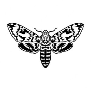 Retro black moth. clipart illustration