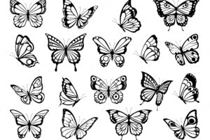 Silhouettes of butterflies. black pictures of funny butterflies