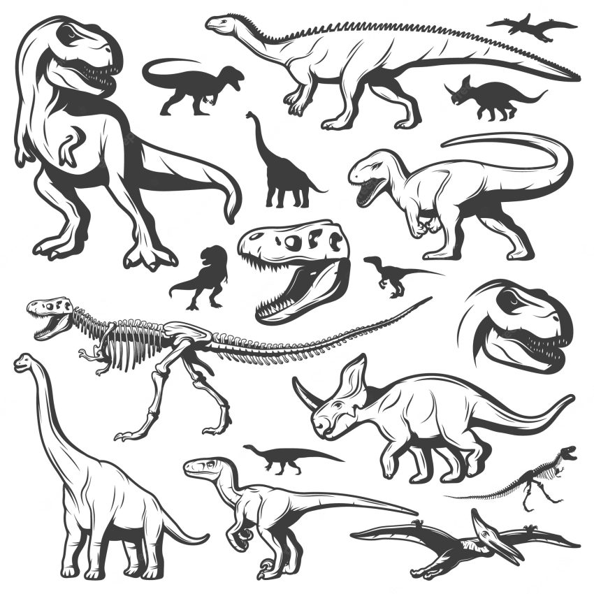 Vintage dinosaurs collection