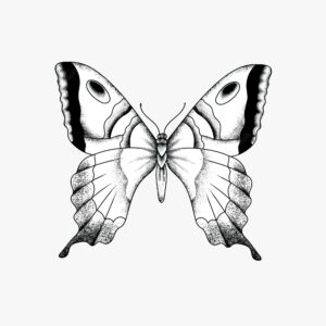 Vintage simple old school flash butterfly tattoo design icon