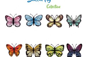 Watercolor butterflies collection